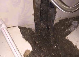 博尔塔拉卫生间测漏水哪家好